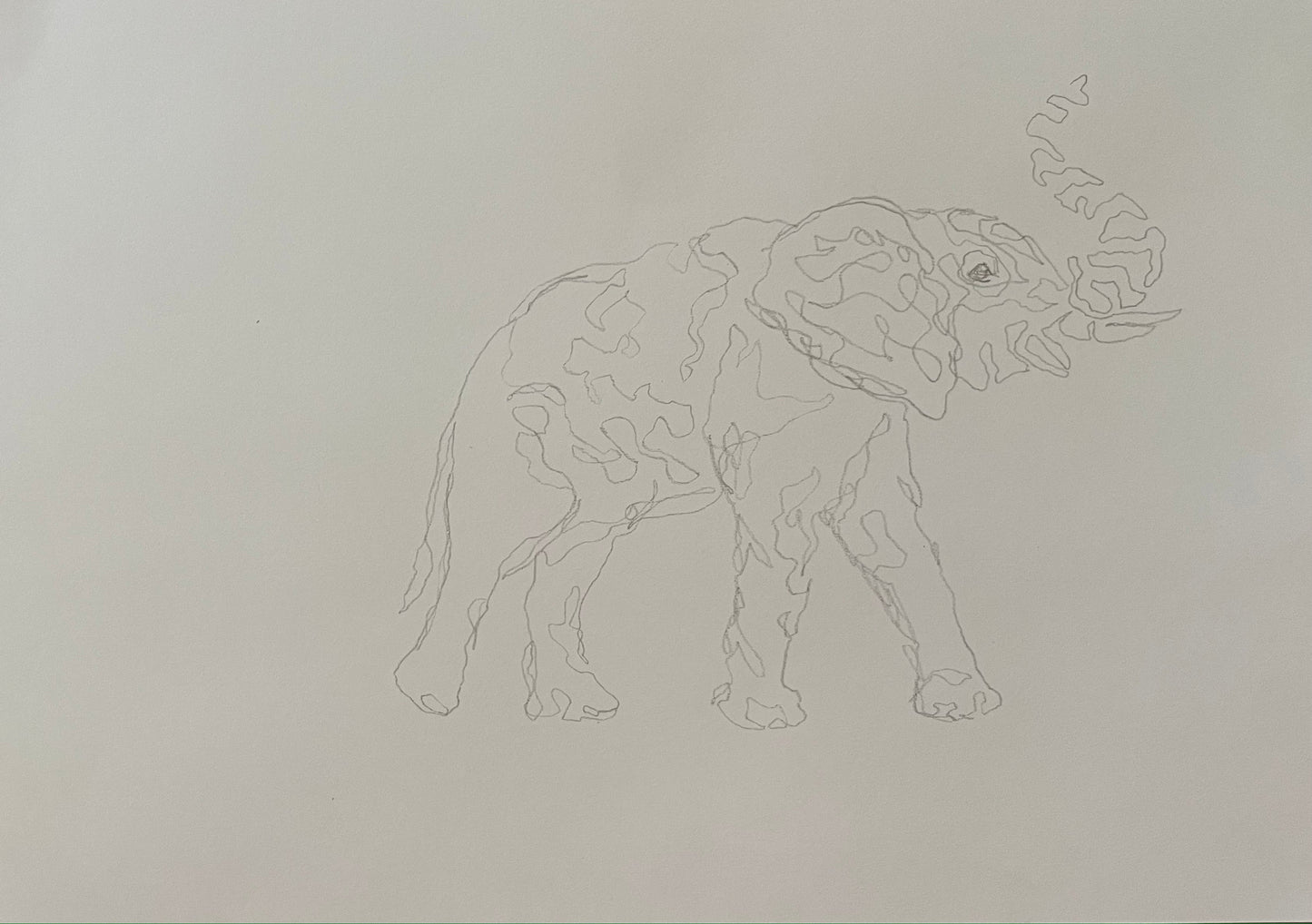 Elephant migration line drawing I