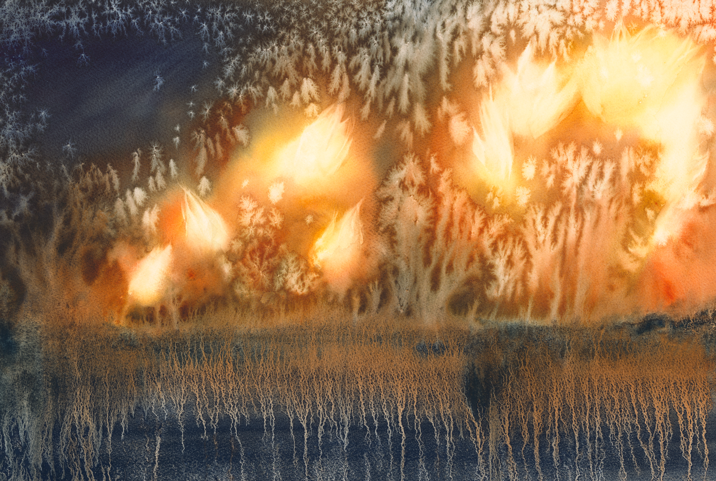 The Flame Flowers Original Watercolour